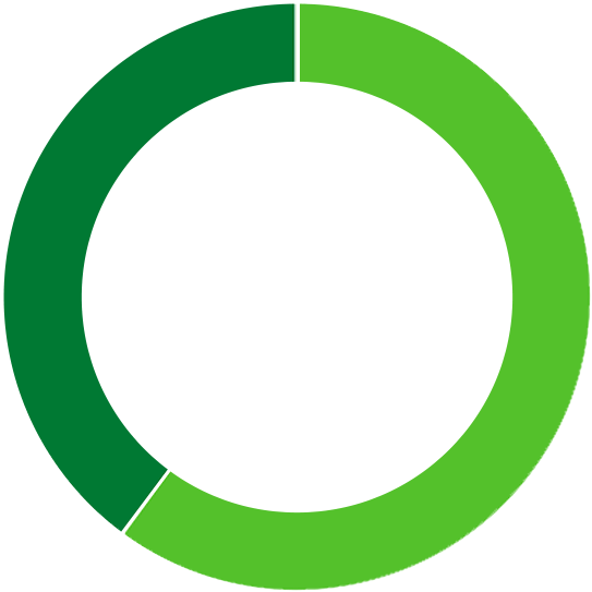 Circular graph showing percentages of genders on the board