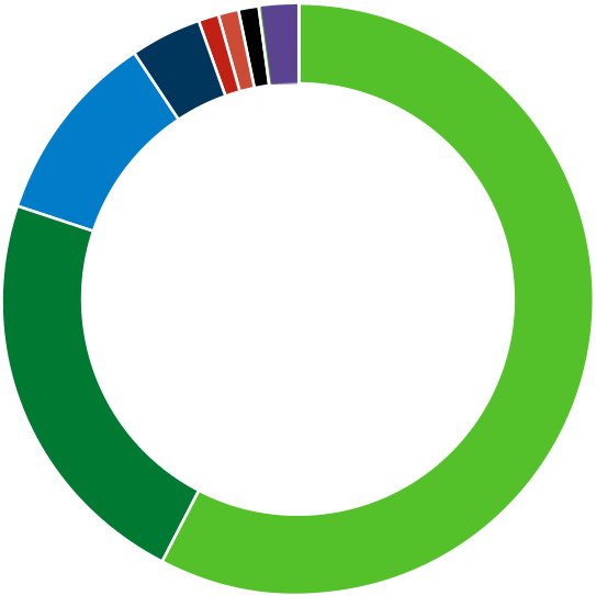 Circular graph showing percentages of ethnicities by employee